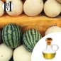 Melon Vegetable Oil (Cucumis melo) - HBV Oils and Butters Melon Vegetable Oil (Cucumis melo) - HBV Oils and Butters