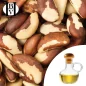 Noix du Brésil huile Végétale (Bertholletia excelsa) - HBV Huiles et Beurres Noix du Brésil huile Végétale (Bertholletia excelsa) - HBV Huiles et Beurres