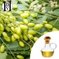 Neem (Neem) Pflanzenöl (Melia Azadirachta) - HBV Öle und Butter