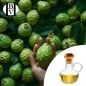 Noni Bitkisel Yağı (Morinda Citrifolia) - HBV Yağları ve Tereyağı