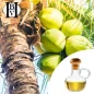 Fraktioniertes Kokosnuss-Pflanzenöl (Cocos Nucifera) - HBV Öle und Butter