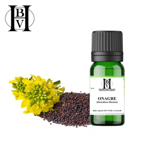 Evening Primrose Vegetable Oil (Oenothera Biennis) - HBV Oils and Butters