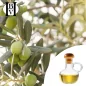 Olive huile Végétale (Olea Europaea) - HBV Huiles et Beurres Olive huile Végétale (Olea Europaea) - HBV Huiles et Beurres