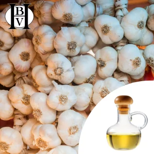 vegetable oil Garlic