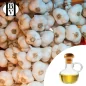 Aceite vegetal de ajo (Allium sativum) - Aceites y mantequillas HBV Aceite vegetal de ajo (Allium sativum) - Aceites y mantequillas HBV