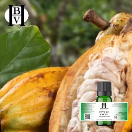 Kakaobohnen-Pflanzenöl (Theobroma cacao) - HBV Öle und Butter