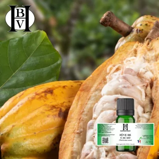 Kakaobohnen-Pflanzenöl (Theobroma cacao) - HBV Öle und Butter