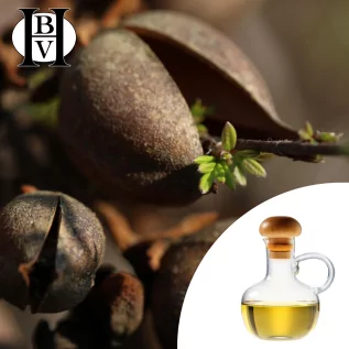 Organic Shea Oil* (Butyrospermum Parkii) - HBV Oils and Butters | Nourishing and Protective Care