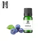 huile Végétale Myrtille (Vaccinium myrtillus) - HBV Huiles et Beurres