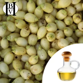 Mahua Vegetable Oil (Madhuca Longifolia) - HBV Oils and Butters