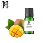 Mango Vegetable Oil (Mangifera Indica) - HBV Oils and Butters
