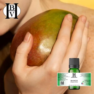 Mango Vegetable Oil (Mangifera Indica) - HBV Oils and Butters