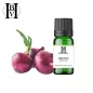 Aceite vegetal Cebolla (Allium Cepa) - Aceites y Mantequillas HBV