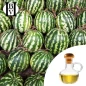 Yabani Karpuz Bitkisel Yağı (Citrullus Lanatus) - HBV Yağları ve Tereyağı
