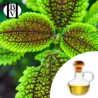 Aceite vegetal de perilla y shiso