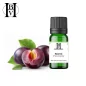 Organik Erik Bitkisel Yağı (Prunus domestica) - HBV Yağları ve Tereyağı