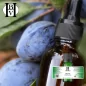 Prune huile Végétale (Prunus domestica) - HBV Huiles et Beurres