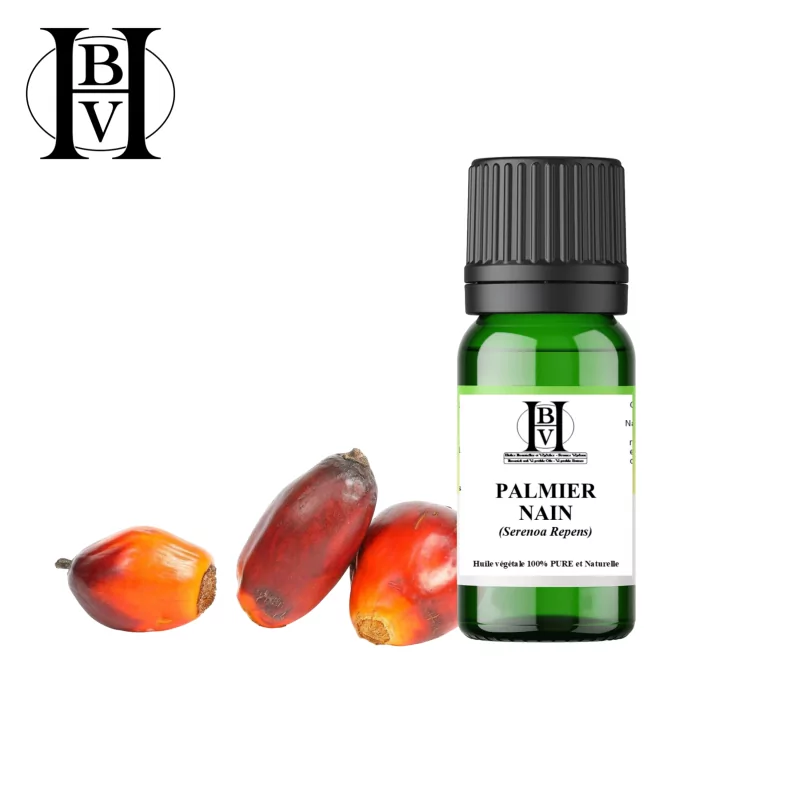 Saw Palmetto Vegetable Oil (Serenoa Repens) - HBV Oils and Butters