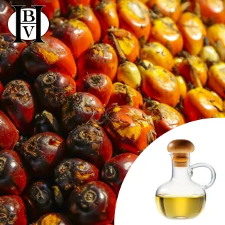 Aceite vegetal de saw palmetto