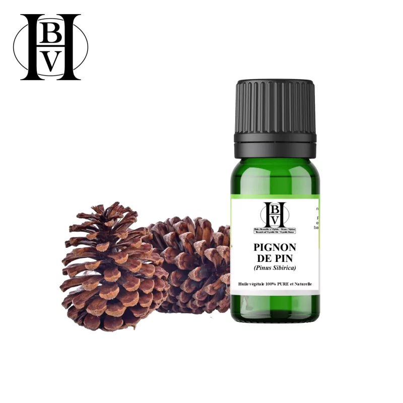 Pinienkernöl (Pinus Sibirica) - HBV Öle und Butter Pinienkernöl (Pinus Sibirica) - HBV Öle und Butter