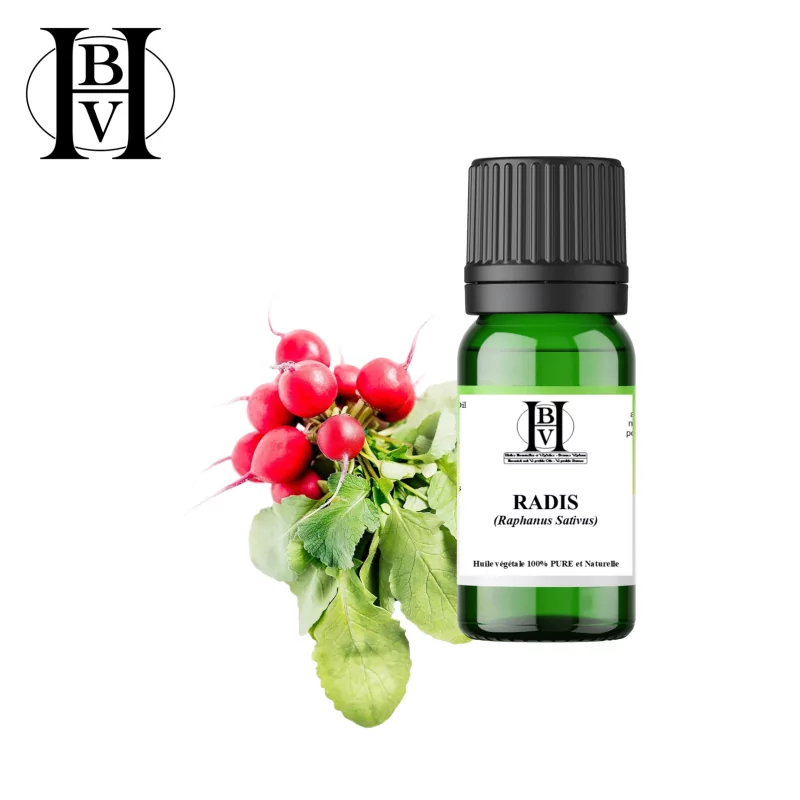 Turp Bitkisel Yağı (Raphanus Sativus) - HBV Yağları ve Tereyağı