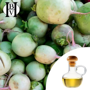 aceite vegetal de rábano