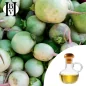 Radish Vegetable Oil (Raphanus Sativus) - HBV Oils and Butters