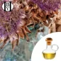 Castor Oil (Ricinus communis) - HBV Oils and Butters Castor Oil (Ricinus communis) - HBV Oils and Butters