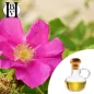 Kuşburnu Bitkisel Yağı (Rosa Mosqueta/Rosa Rubiginosa) - HBV Yağları ve Tereyağı Kuşburnu Bitkisel Yağı (Rosa Mosqueta/Rosa Rubiginosa) - HBV Yağları ve Tereyağı