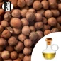 Sandal Ağacı Bitkisel Yağı (Santalum Spicatum) - HBV Yağları ve Yağları