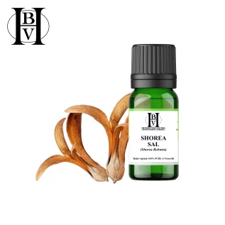Shorea Bitkisel Yağ - Sal (Shorea Robusta) - HBV Yağları ve Tereyağı