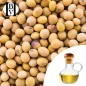 Soya Fasulyesi Bitkisel Yağı (Glisin Soya) - HBV Yağları ve Tereyağı