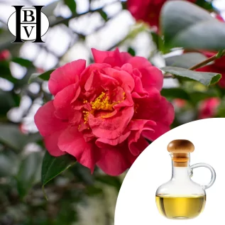 Tsubaki Vegetable Oil - Japanese Camellia