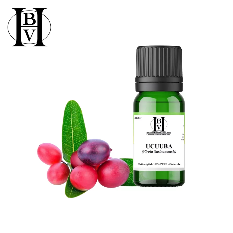 Ucuuba-Pflanzenöl (Virola Surinamensis) - HBV-Öle und -Butter Ucuuba-Pflanzenöl (Virola Surinamensis) - HBV-Öle und -Butter