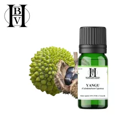 Yangu Pflanzenöl (Calodendrum Capense) - HBV Öle und Butter