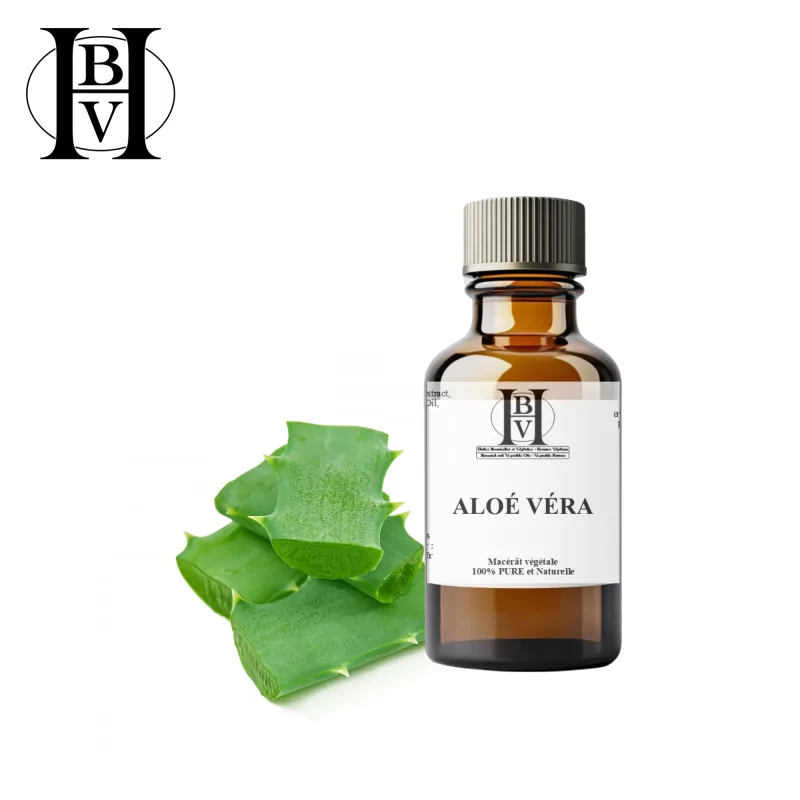 Aloe Vera Ölmazerat (Aloe barbadensis) - HBV Öle und Butter