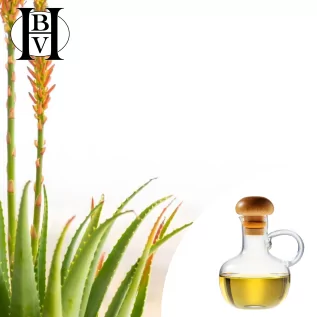 Aloe Vera Ölmazerat