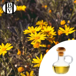 Arnica oil macerate
