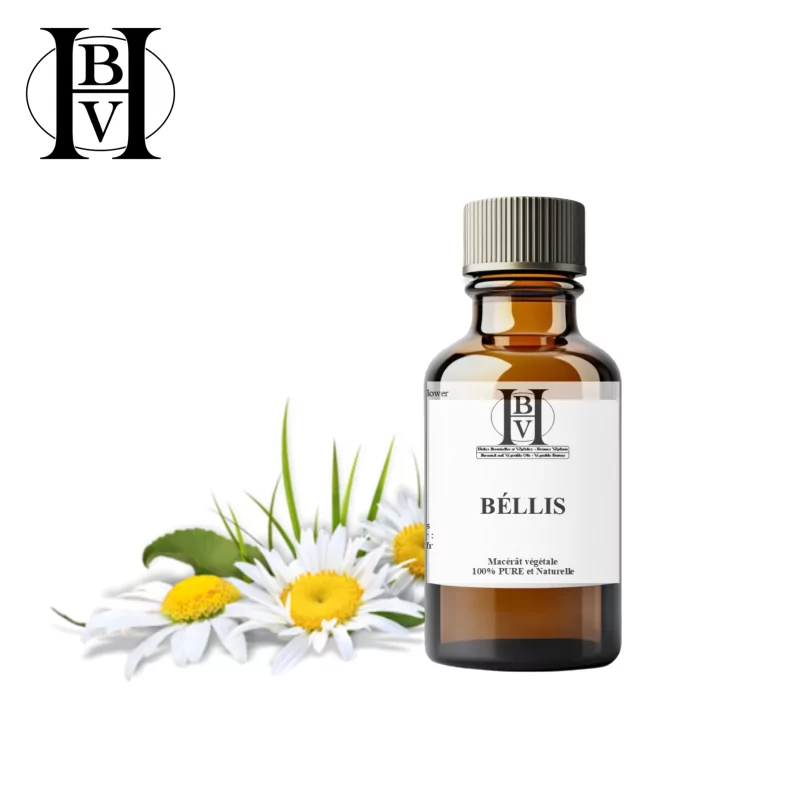 Bellis oily macerate (Bellis perennis) - HBV Oils and Butters Bellis oily macerate (Bellis perennis) - HBV Oils and Butters