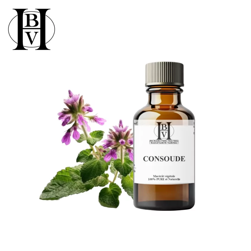 Macerado oleoso de consuelda (Symphytum officinale) - Aceites y mantecas HBV Macerado oleoso de consuelda (Symphytum officinale) - Aceites y mantecas HBV