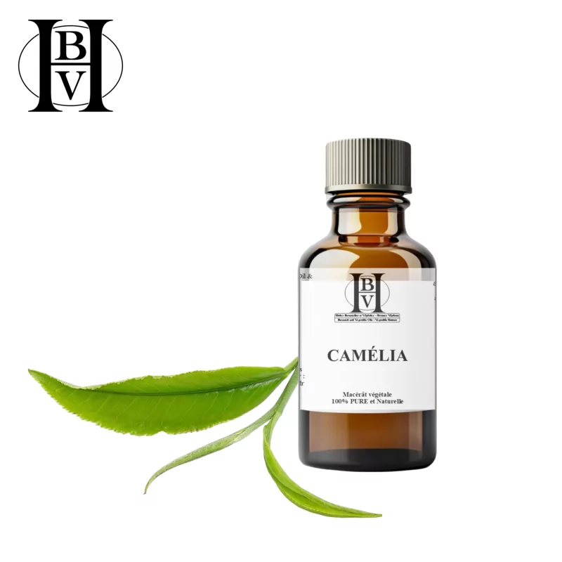 Camellia oil macerate (Camellia Sinensis) - HBV Oils and Butters