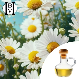 oily macerate of chamomile and feverfew