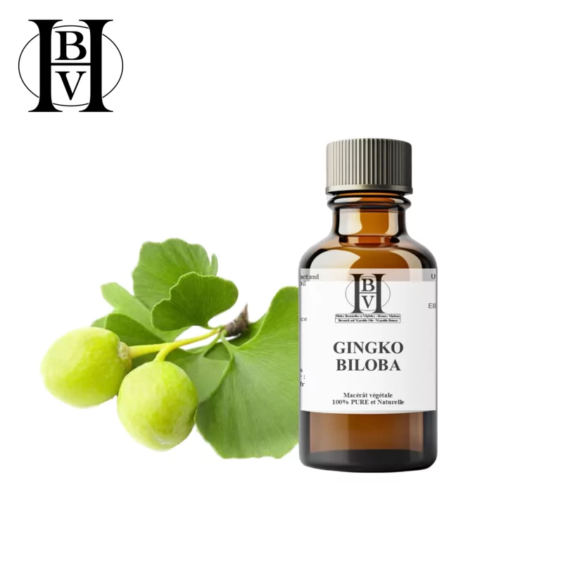 Macerado de aceite de Ginkgo Biloba - Aceites y mantecas HBV