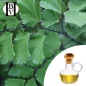 Ginkgo Biloba Ölmazerat - HBV Öle und Butter