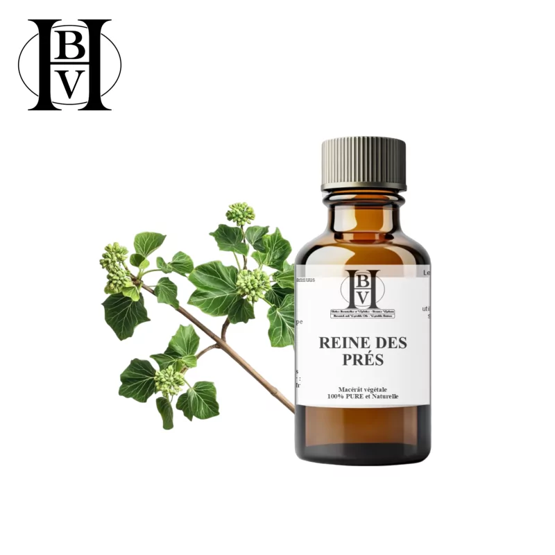 Reine des Prés macérât huileux (Filipendula ulmaria) - HBV Huiles et Beurres Reine des Prés macérât huileux (Filipendula ulmaria) - HBV Huiles et Beurres