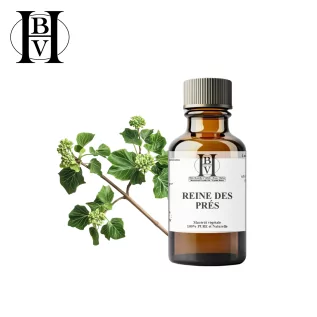 macérât huileux Reine des Prés (Filipendula ulmaria) - HBV Huiles et Beurres