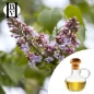 Çayır tatlısı yağlı macerat (Filipendula ulmaria) - HBV Yağları ve Tereyağı Çayır tatlısı yağlı macerat (Filipendula ulmaria) - HBV Yağları ve Tereyağı