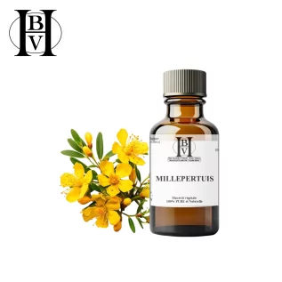 Sarı Kantaron (Hypericum perforatum) yağlı maserat - HBV Yağları ve Tereyağı