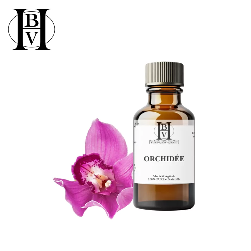 Orchidée macérât huileux (Anacamptis morio) - HBV Huiles et Beurres Orchidée macérât huileux (Anacamptis morio) - HBV Huiles et Beurres