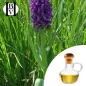 Macerado de aceite de orquídea (Anacamptis morio) - Aceites y mantecas HBV